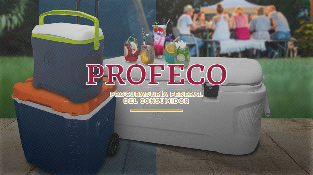 Profeco alerta: Si tienes este modelo de hielera Igloo debes llevarlo a revisión por riesgo de lesión