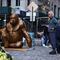 Colocan estatua del gorila Harambe frente al toro Wall Street