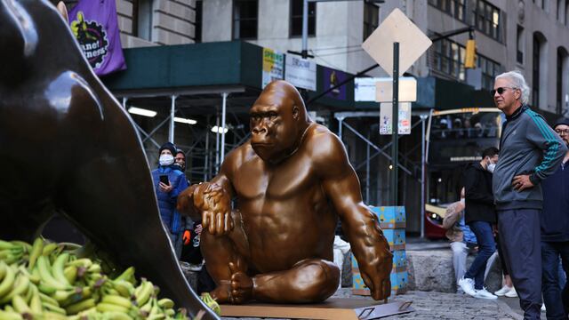 Estatua del gorila Harambe frente al toro de bronce, en Wall Street