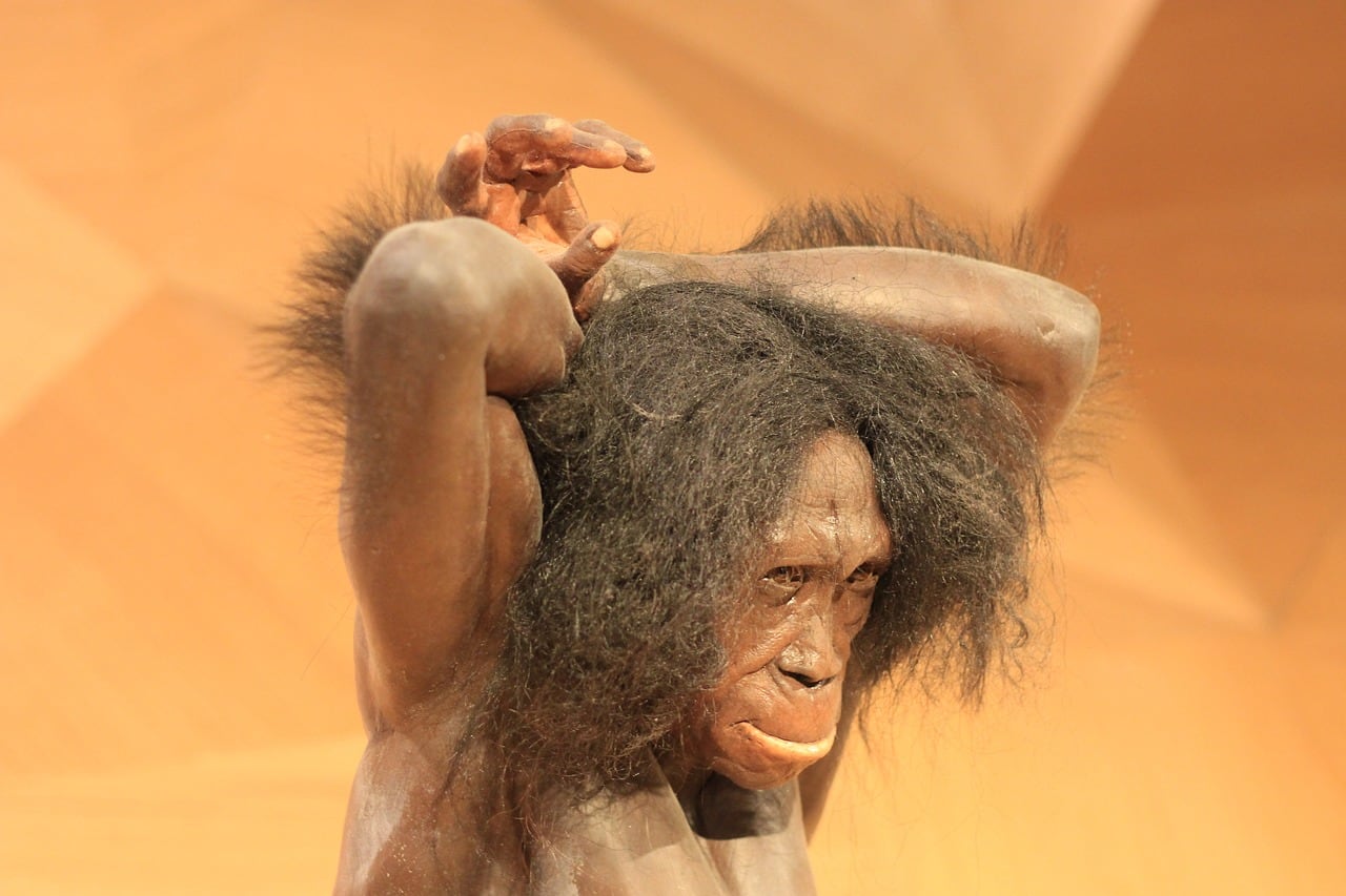 Neandertal