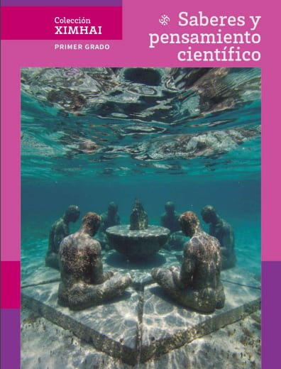 Libro Saberes y pensamiento científico para primer grado