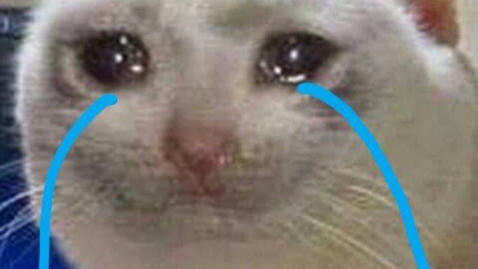 Muchos no alcanzaron boletos para Bad Bunny y los memes no pararon