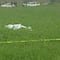¿Qué pasó en Tula, Hidalgo? Balacera en Santa Ana Ahuehuepan deja 5 muertos