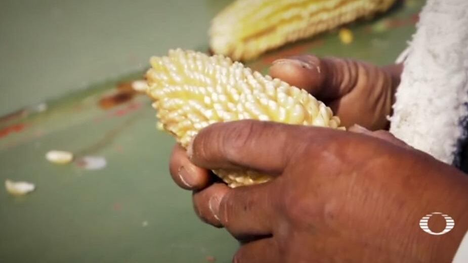 México pierde capacidad para producir sus propias palomitas de maíz