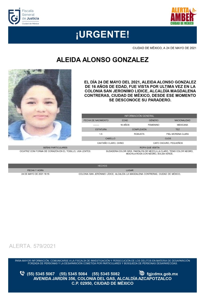 Ficha de búsqueda de Aleida