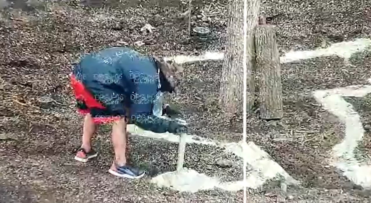 Captan a hombre echando cal y cemente al nuevo ahuehuete