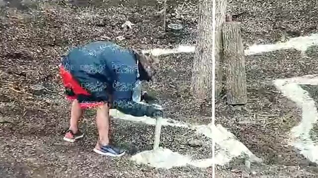 Captan a hombre echando cal y cemente al nuevo ahuehuete