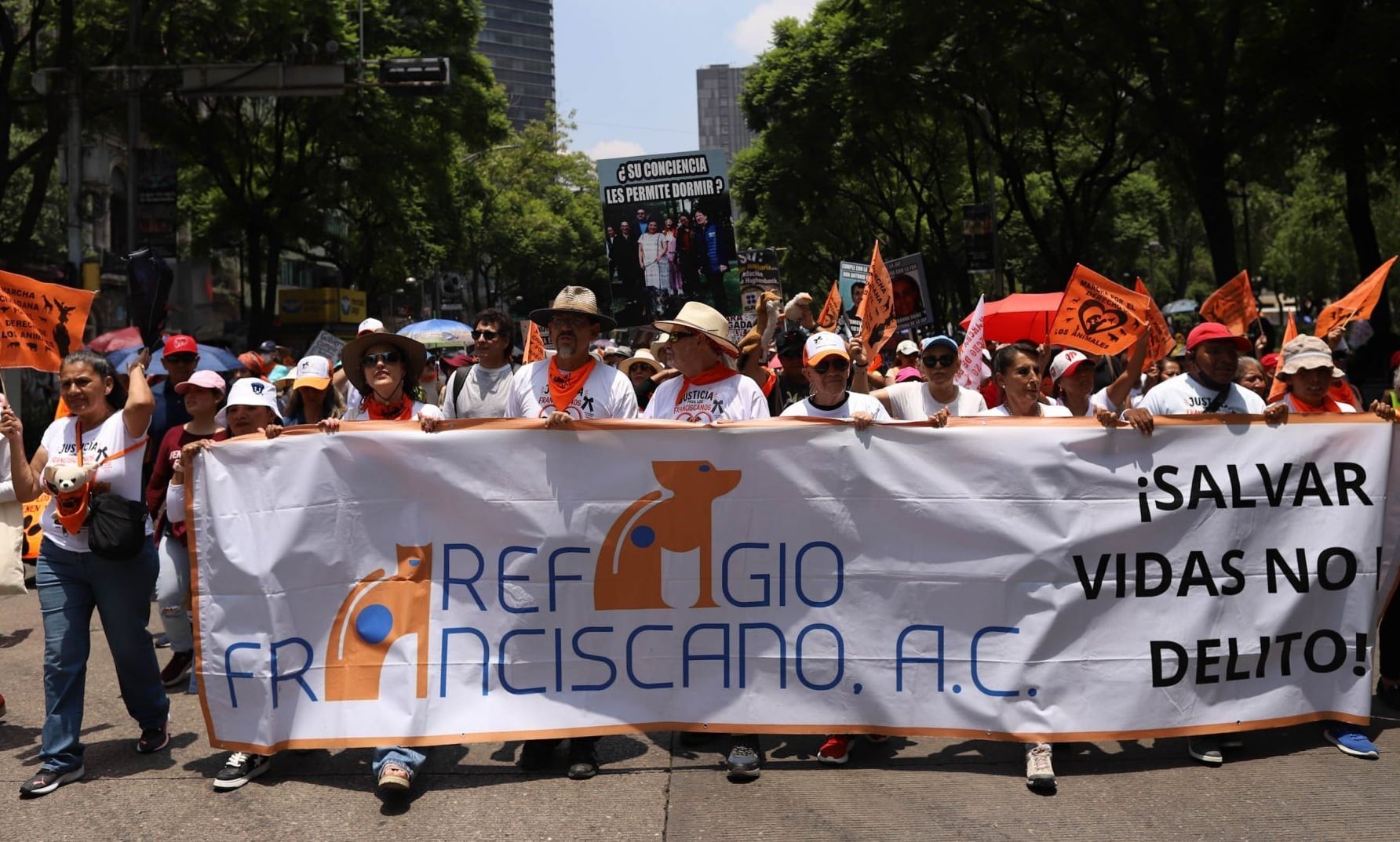 Fundación Haghenbeck denuncia a funcionarios por omisiones en el Refugio Franciscano