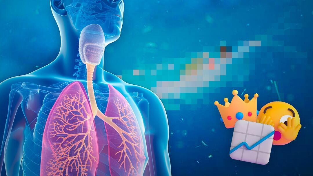 El animal más numeroso del mundo no es el ser humano, sino este pequeño crustáceo