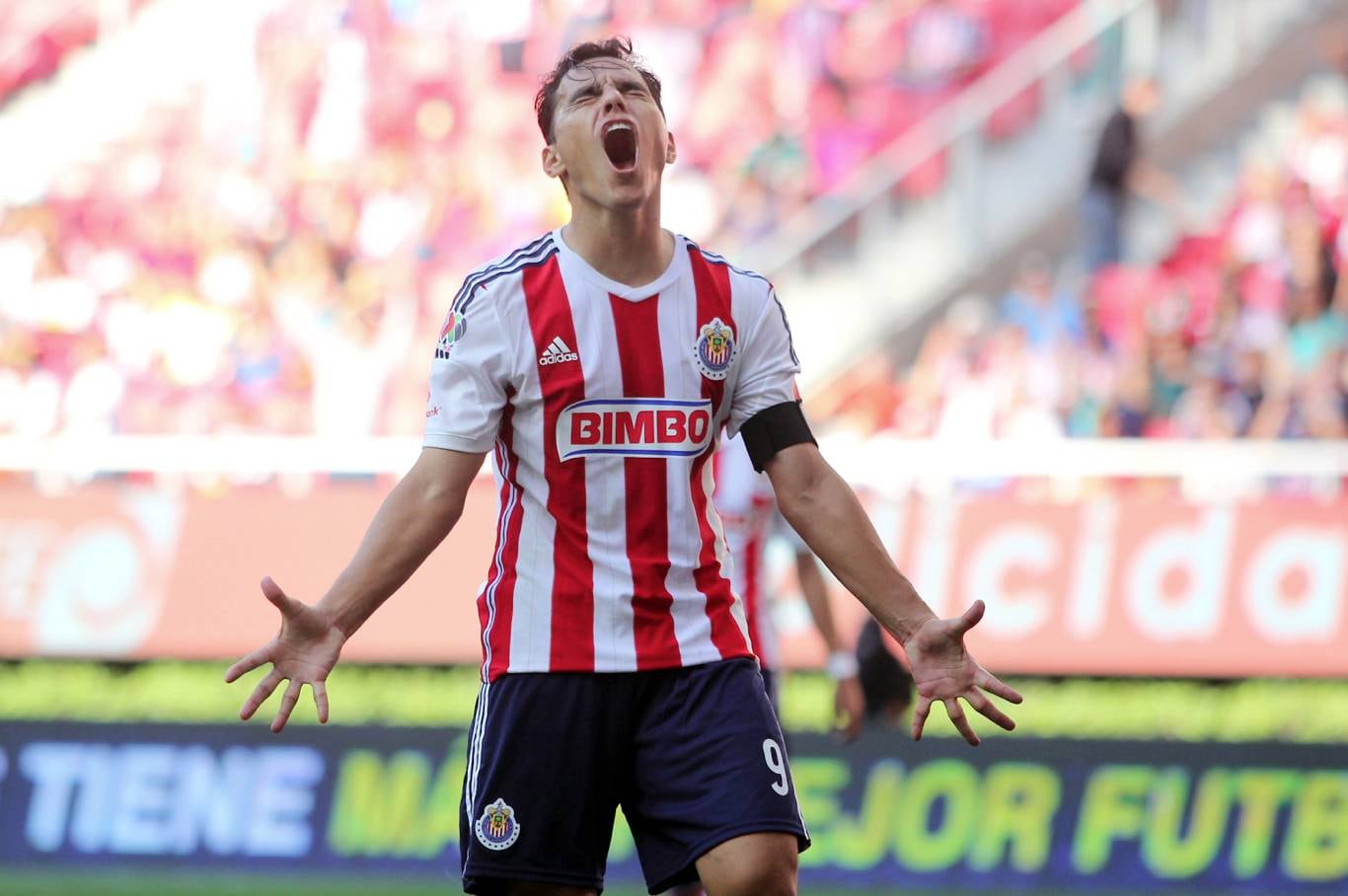 Omar Bravo