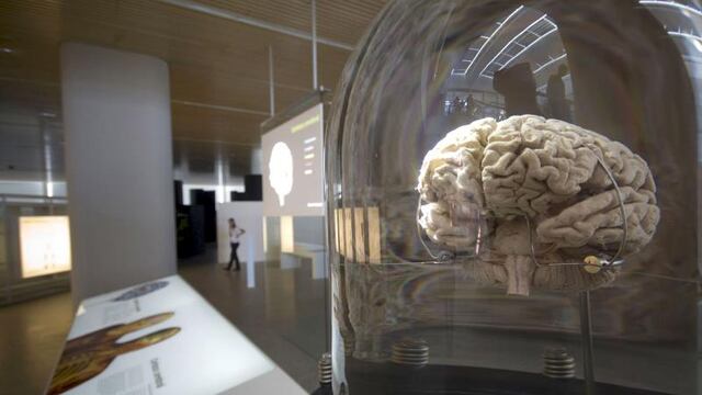 Consumo crónico de cocaína produce cambios en el gen FosB.