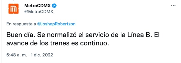 Se normaliza el servicio de la línea B tras el rescate del perrito que cayó en las vías