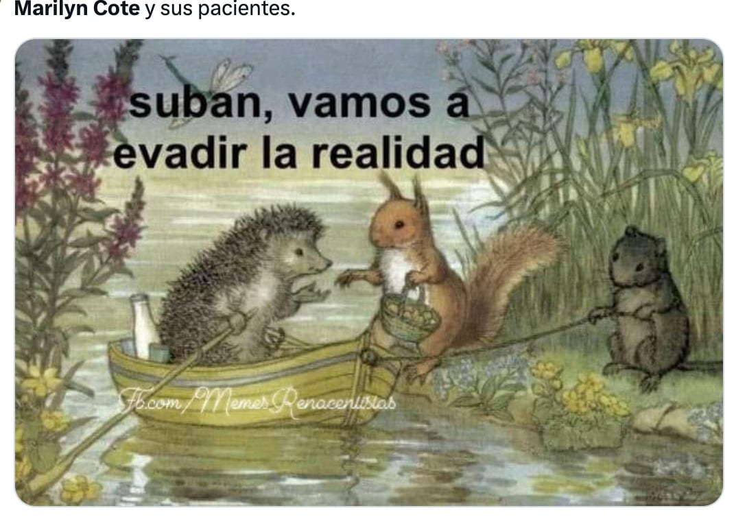 La falsa vida de Marylin Cote inspira memes