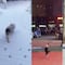 VIDEO: Gato jugando en la nieve revive los mejores momentos de michis disfrutando del frío en TikTok