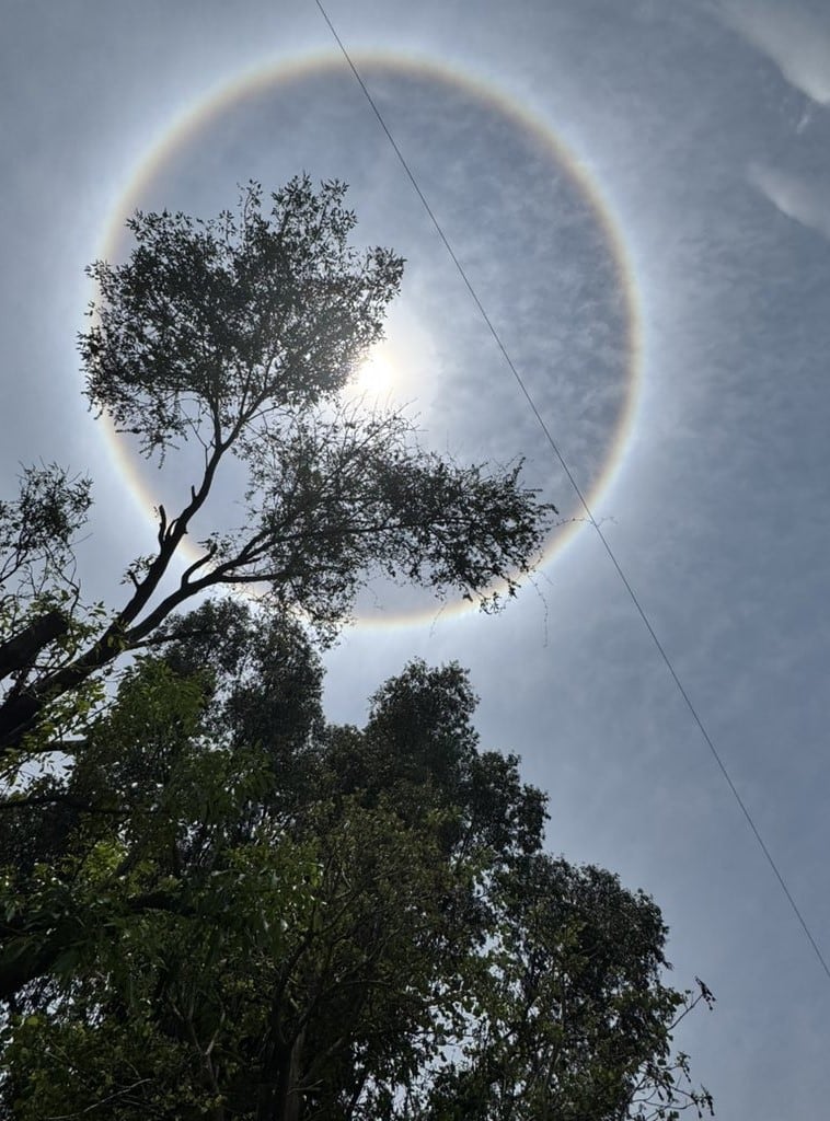 Halo Solar hoy 24 de mayo CDMX