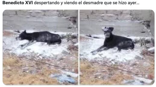 Memes de Benedicto XVI sobre su supuesta muerte