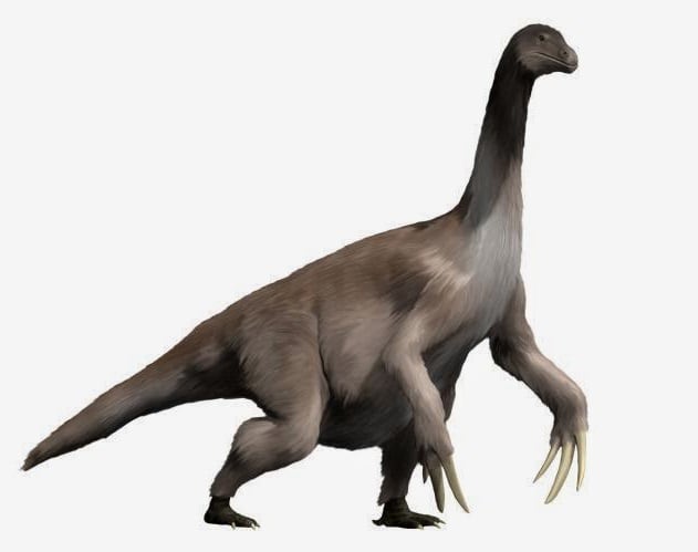 Terizinosaurio, nueva especie encontrada en Japón