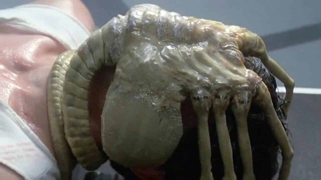 Facehugger