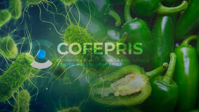Cofepris descarta Salmonella en chiles jalapeños de Nuevo León