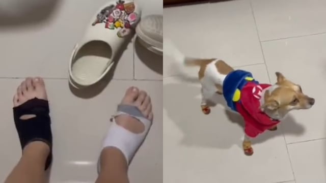 Exhibe en TikTok sus calcetas todas rotas, mientras el perro tiene unas nuevas