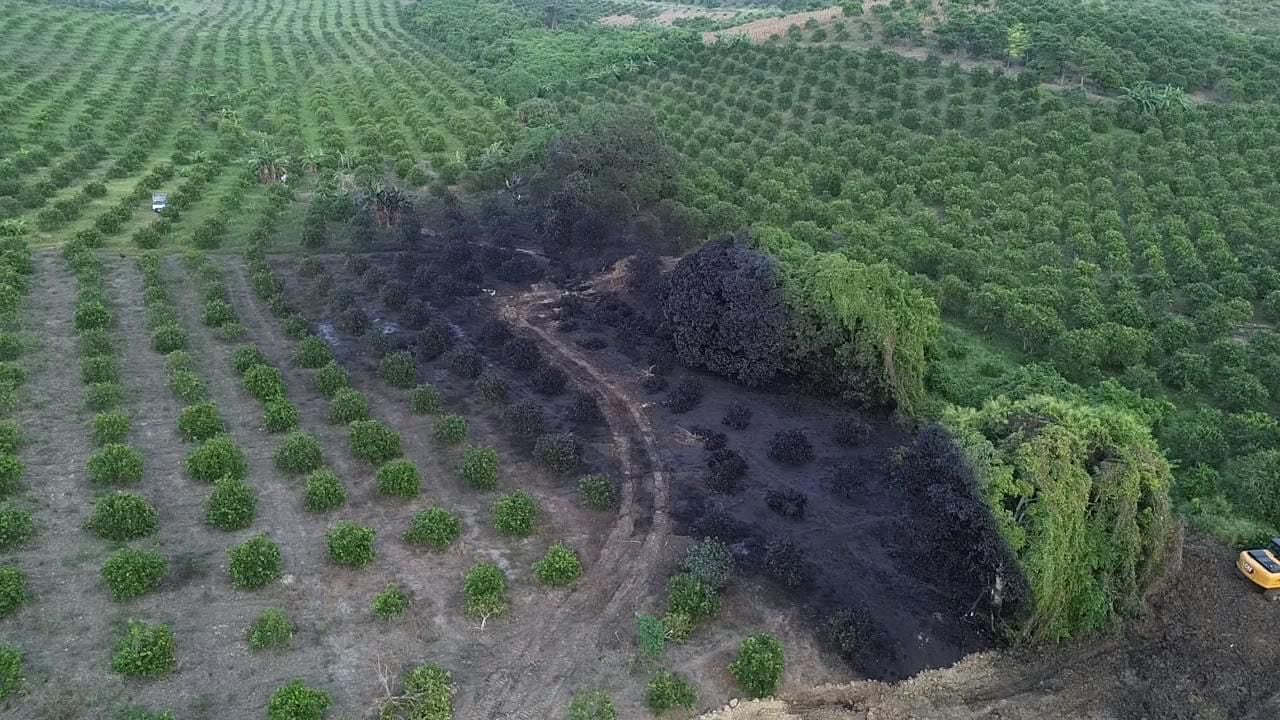 Derrame de ducto de Pemex en Álamo, Veracruz