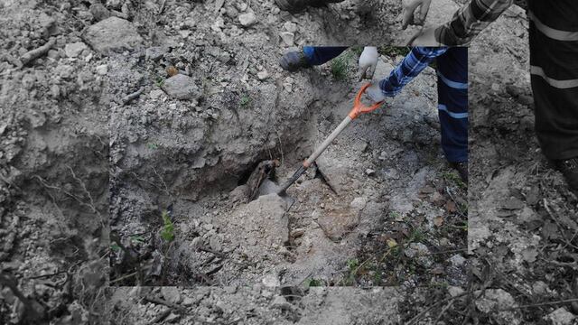 Pobladores alertaron sobre las tumbas.