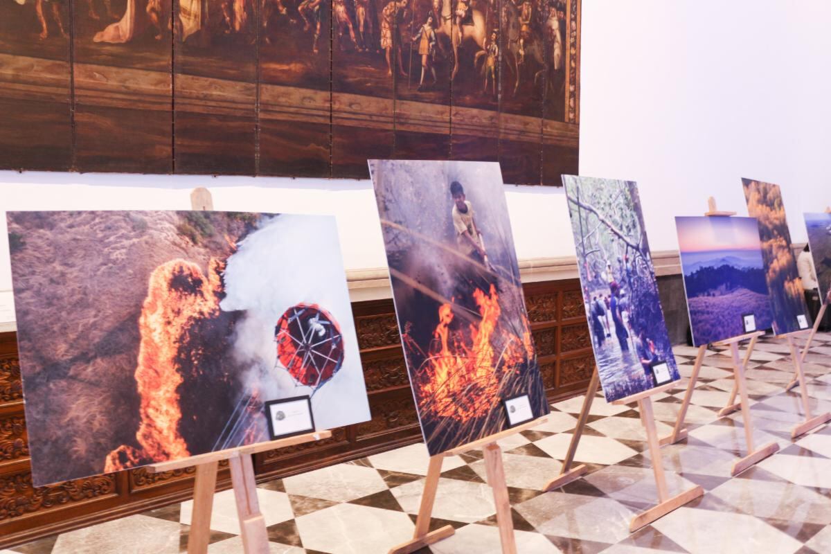 Este año participaron 1,208 personas y se expusieron 4,475 trabajos fotográficos con el tema de ecosistemas forestales.