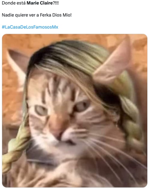 Los memes aman a Marie Claire Harp tras su pelea con Ferka en la pre gala de La Casa de los Famosos