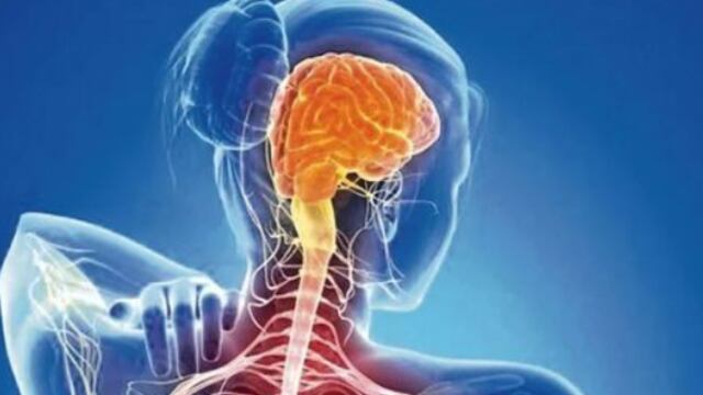 Comencé a recomendarle a pacientes con esclerosis múltiple que tomaran ácido cítrico