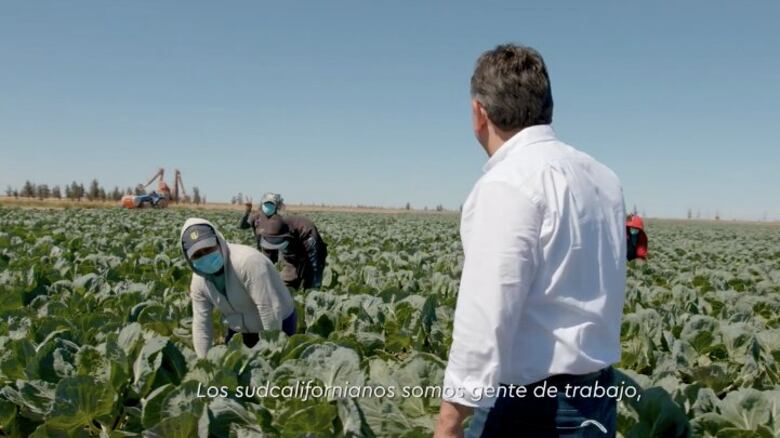 Los 250 millones de litros de agua por año