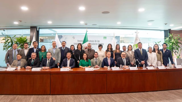 Modelo político del PVEM en el Edomex busca replicarse en otras entidades