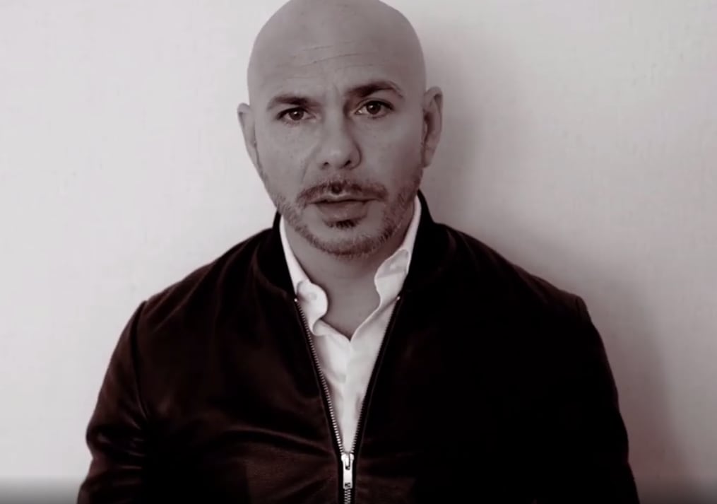 Pitbull, cantante.