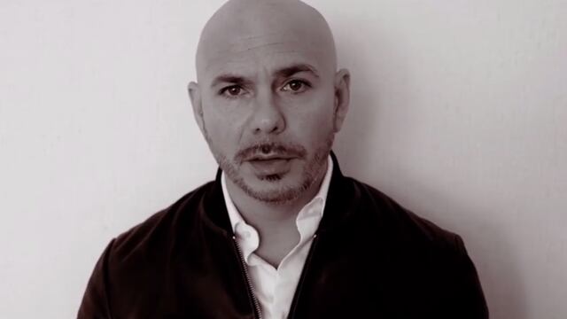 Pitbull, cantante.