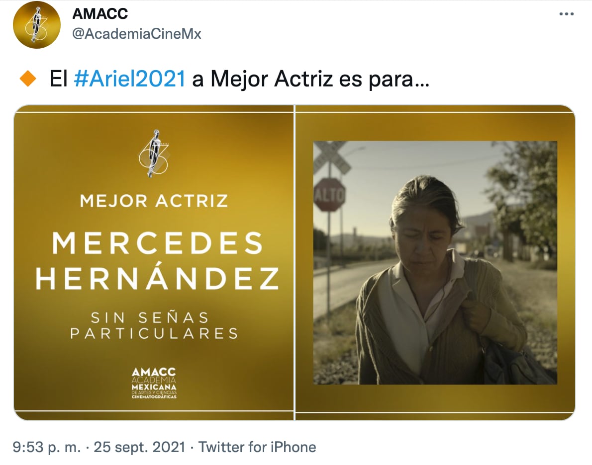 Sin señas particulares, Premios Ariel 2021
