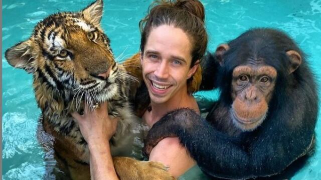 Kody Antle, un tigre y un simio