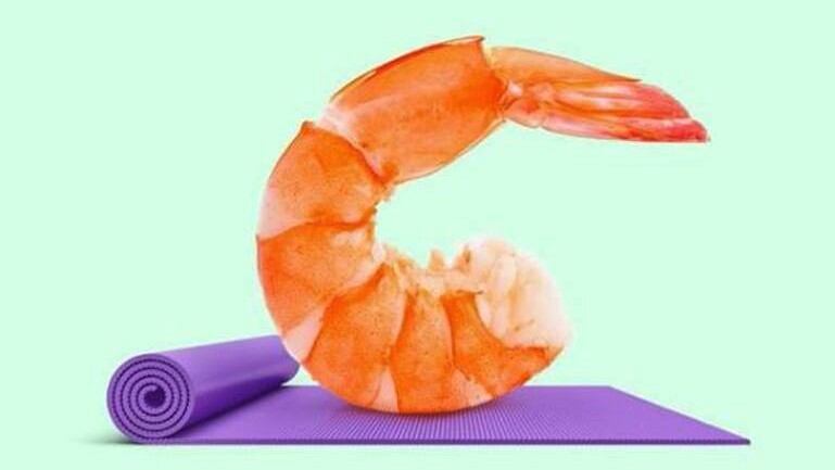 Camarón haciendo yoga