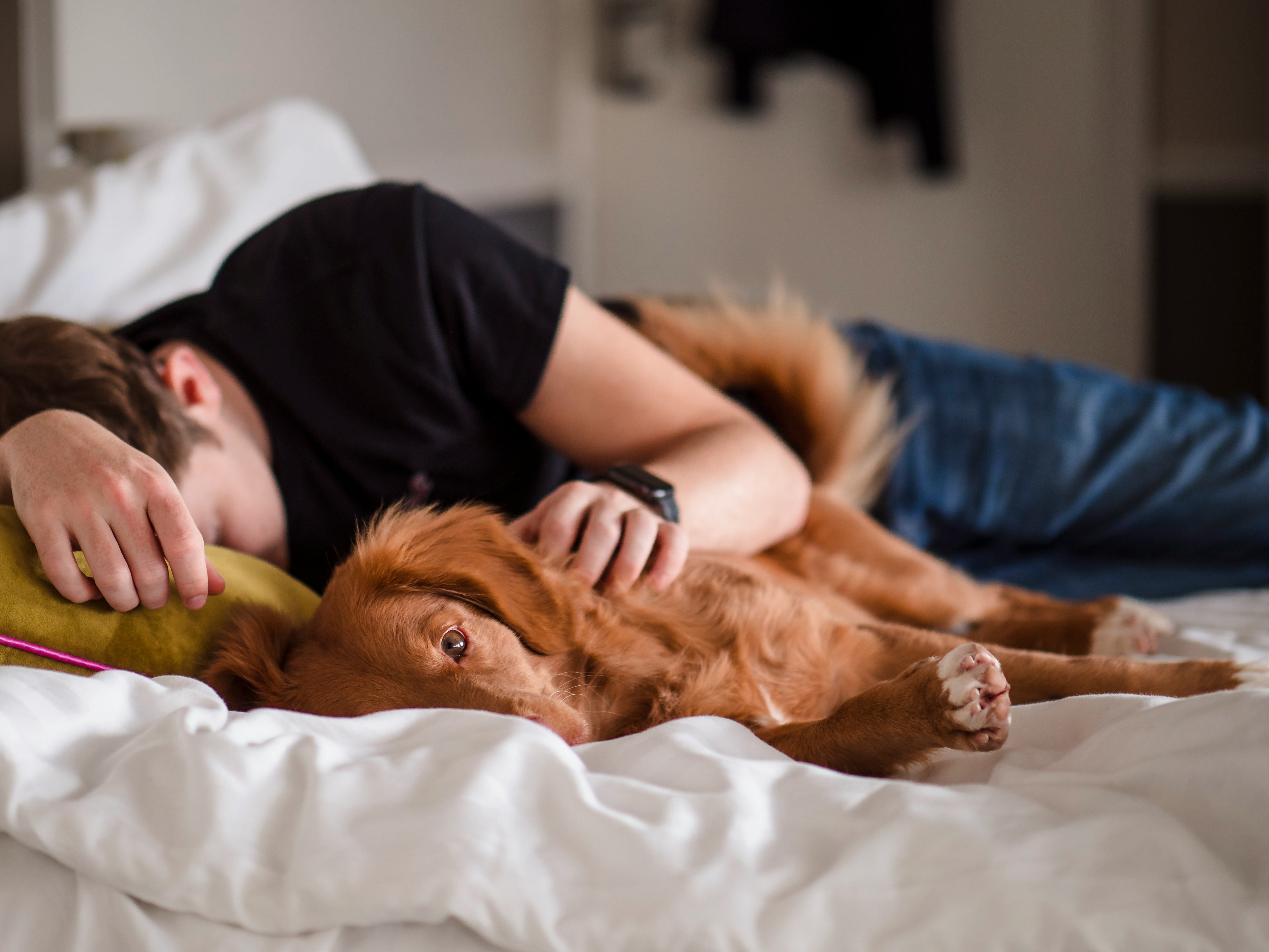 Este 11 de marzo es el Día Internacional de la Siesta