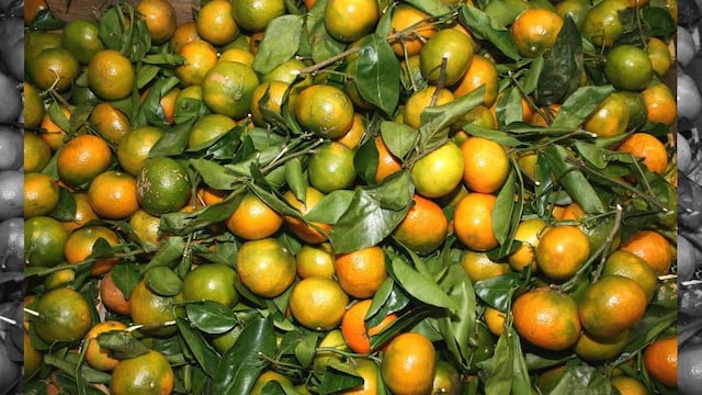 Inicia temporada de mandarina en la Central de Abasto