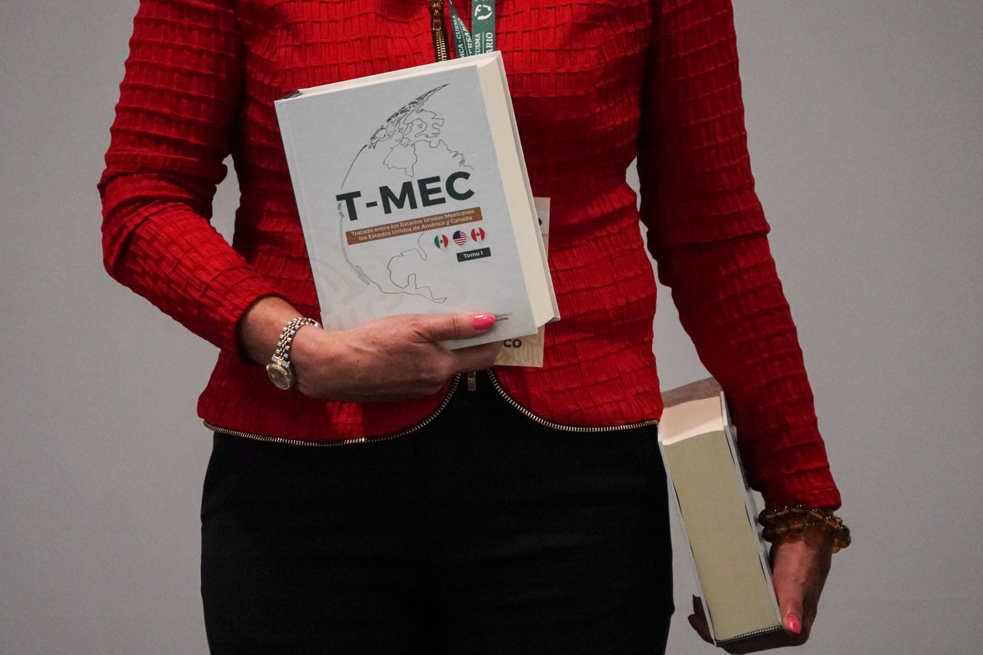 Mecanismo Laboral de Respuesta Rápida, procedimiento del T-MEC