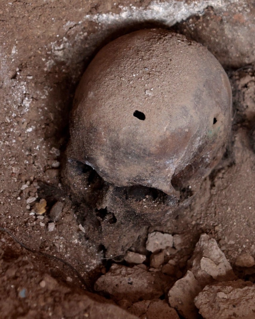 Guadalajara: encuentran huesos en finca abandonada; lo que se sabe