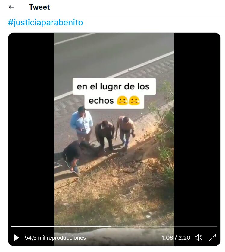Captura de pantalla de Twitter