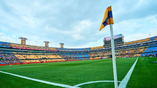 Indigna el deplorable estado del Estadio Universitario de los Tigres