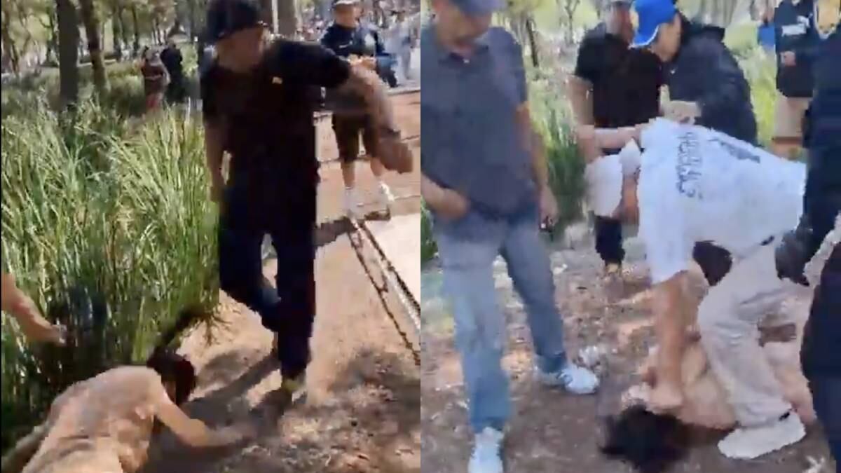 El video de funcionarios de CDMX golpeando a Donají, mujer trans y comerciante, en la Alameda Central; detenidos, protestas y más