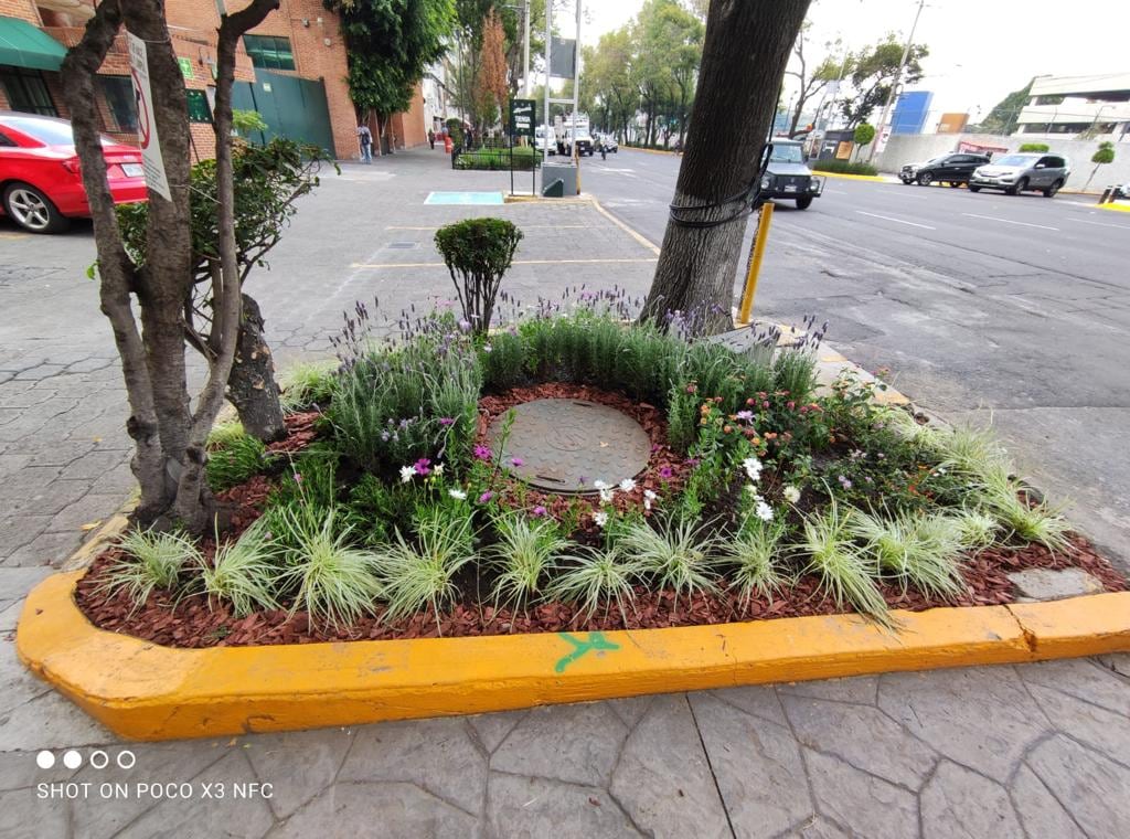 Proyectos integrales para la mejora de Xoco de la alcaldía Benito Juárez