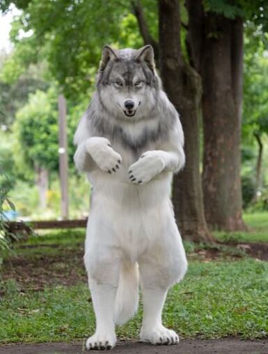 Disfraz de lobo