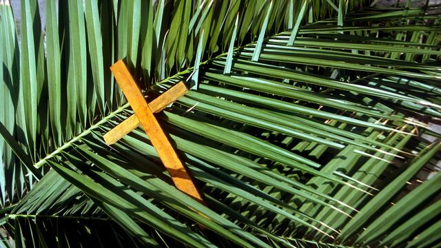 Oración para el Domingo de Ramos que debes rezar el 13 de abril al inicio de la Semana Santa