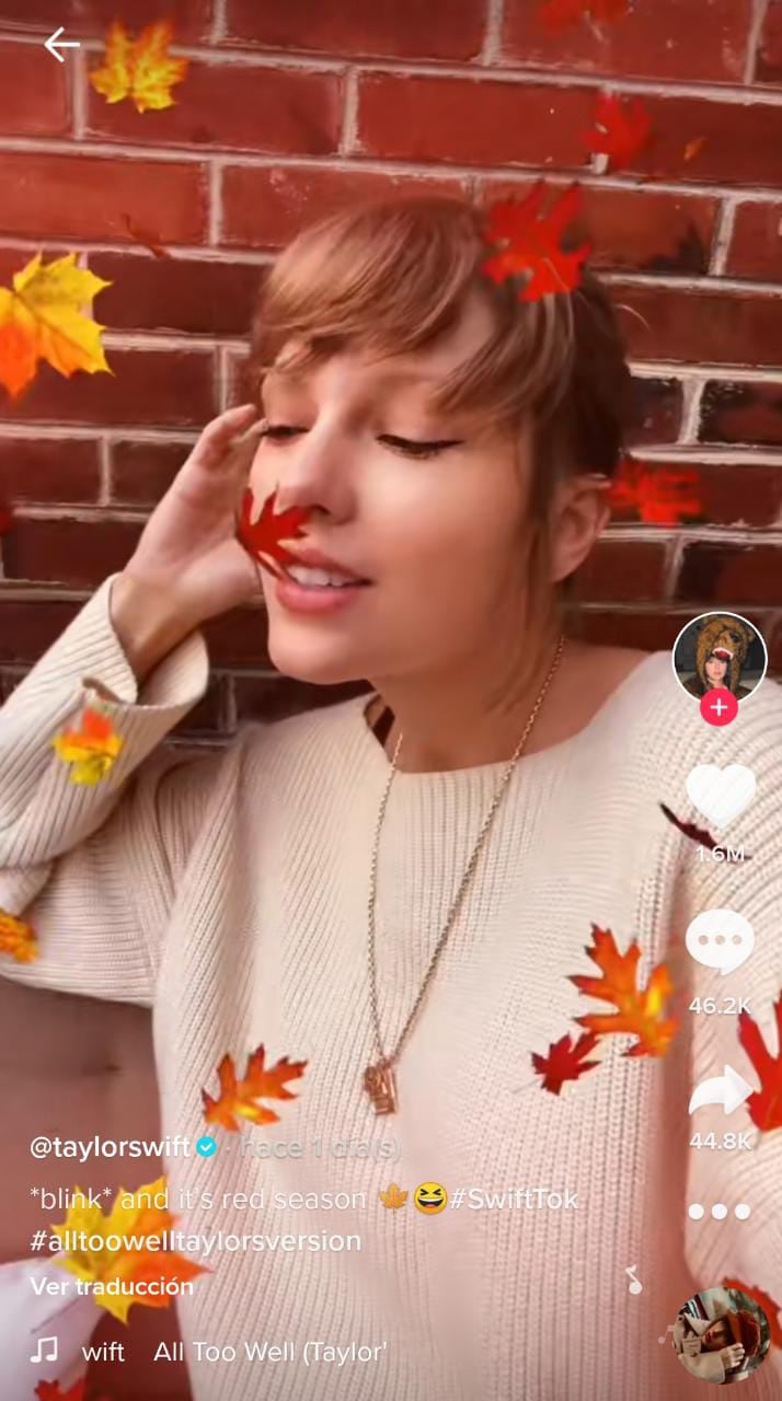 Taylor Swift, filtro