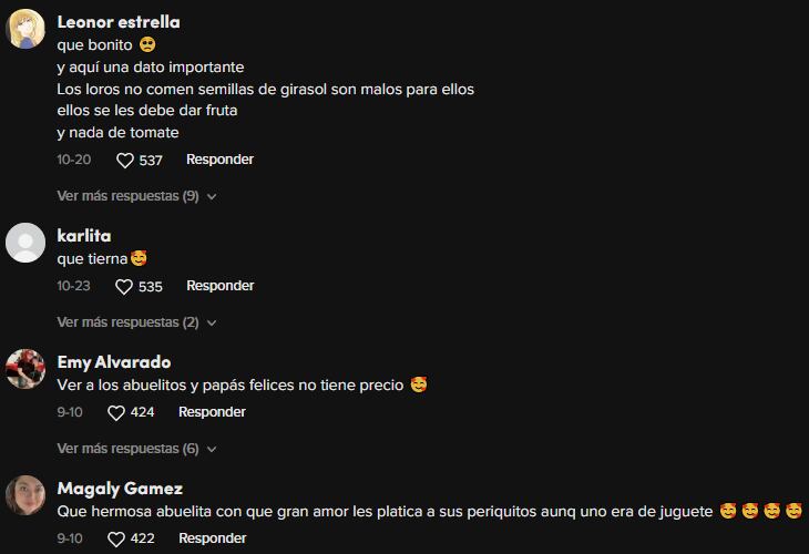 Reacciones a la historia de la abuelita que tenía un loro de juguete y recibió uno de verdad