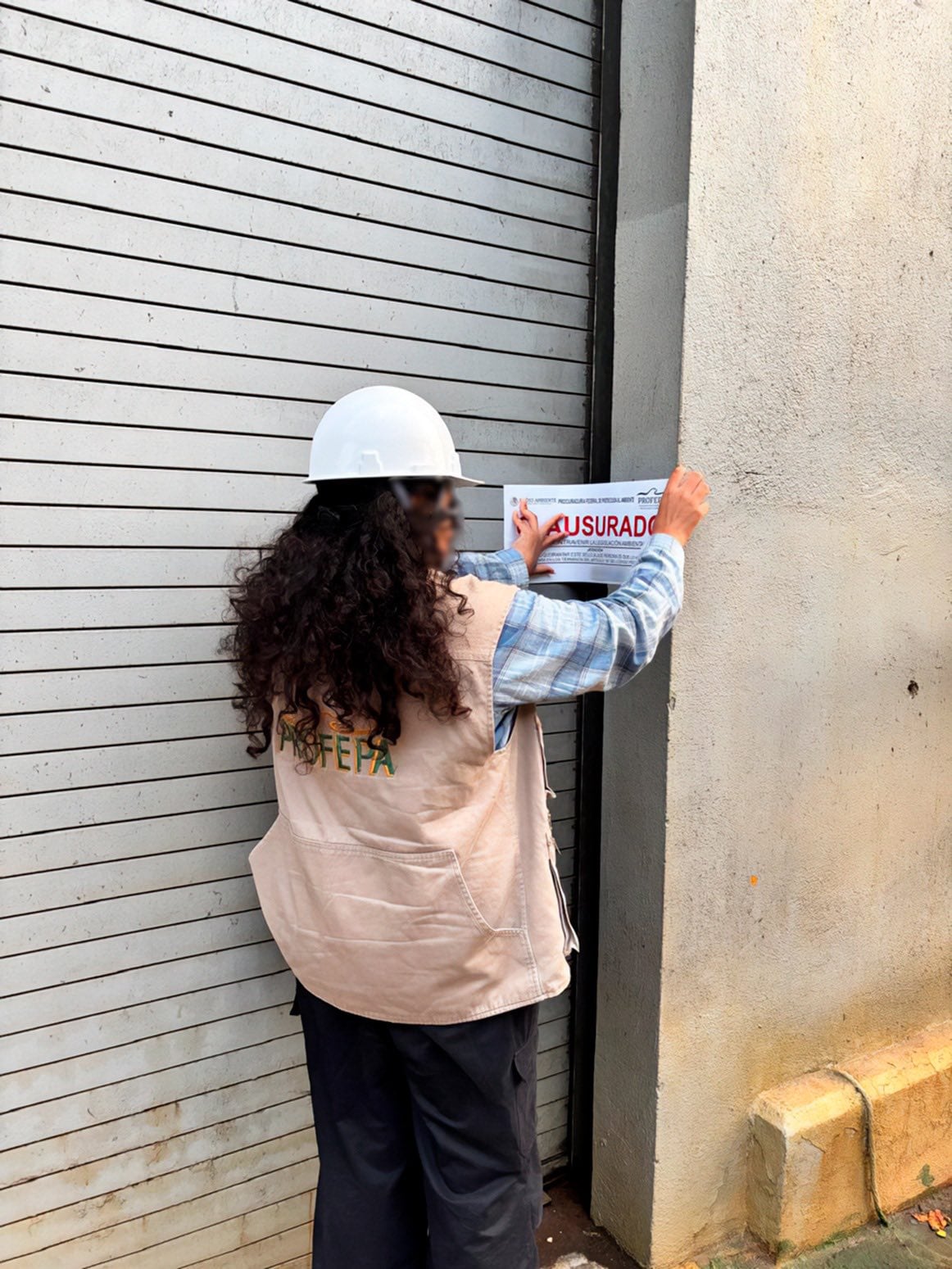 Ternium Churubusco: claves para entender la suspensión de Profepa