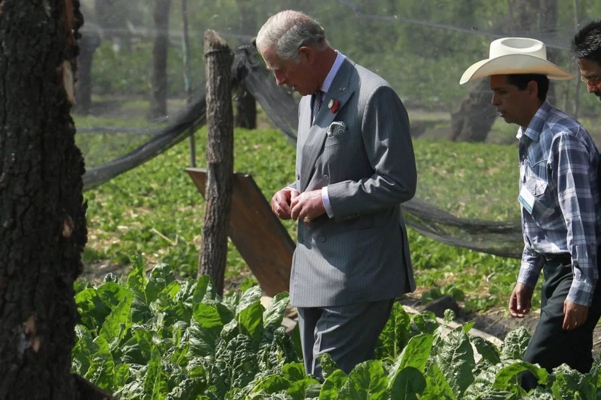 Visita de rey Carlos III en México